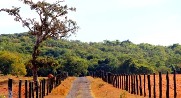 459af8_400b733ad9a147c786b98b46021c7f9e~mv2