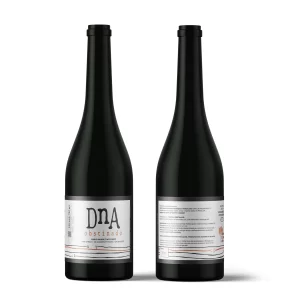 DnA Obstinado - 2024